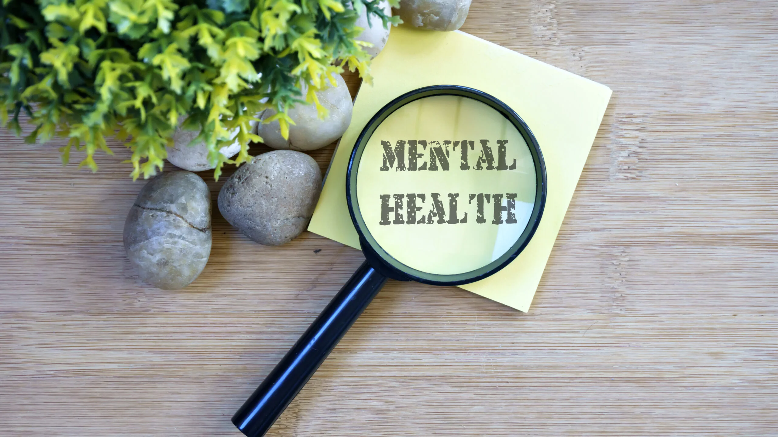 Mental Health Hero
